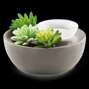 Little Garden Scentsy Warmer